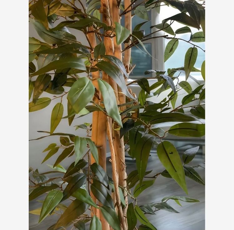 光触媒 人工観葉植物 フェイクグリーン イタリアンベンジャミン17570