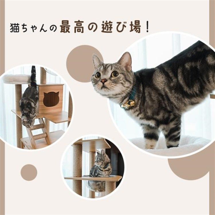 公式