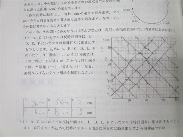 東京出版 がんばる小学生へ！中学への算数 2019年4/6月〜2020年3月号/臨時増刊 計13冊 下平正朝/望月俊昭他 071R1D 東京出版 がんばる小学生へ！中学への算数 2019年4/6月～2020年