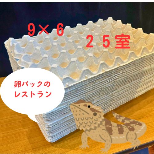 卵トレー　卵パック　紙製　200枚　赤、茶、黄、緑 卵トレー 卵パック 紙製 30室 20枚セット 昆虫飼育用 ※2888の