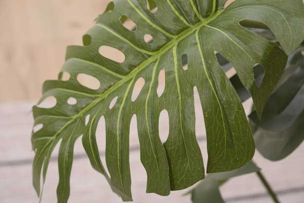 No.11 約W56×D56×H100cm