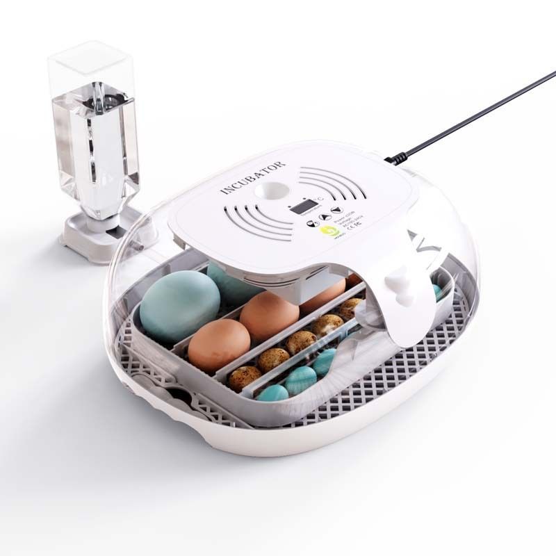 検卵ライト付き 孵化器