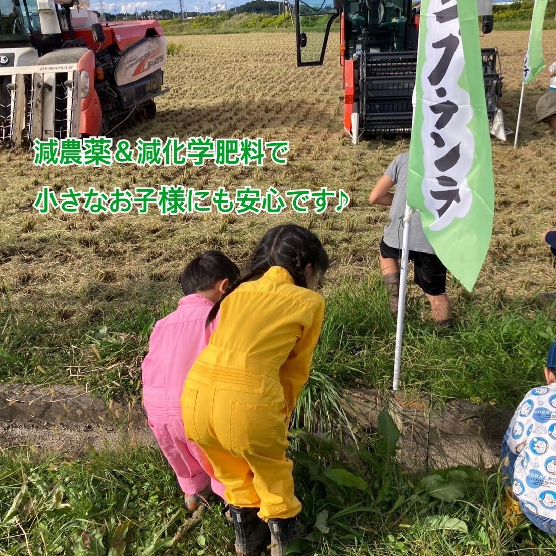 ?10キロ