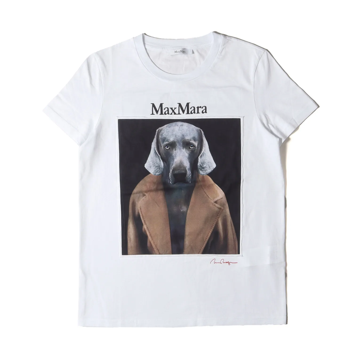希少XSサイズ　MaxMara 犬プリント Tシャツ ホワイト Max Mara タッコロゴ犬プリントTシャツ-ホワイト (トップス) IFCHIC.COM