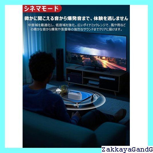 Rena送信機Pro付 3つの