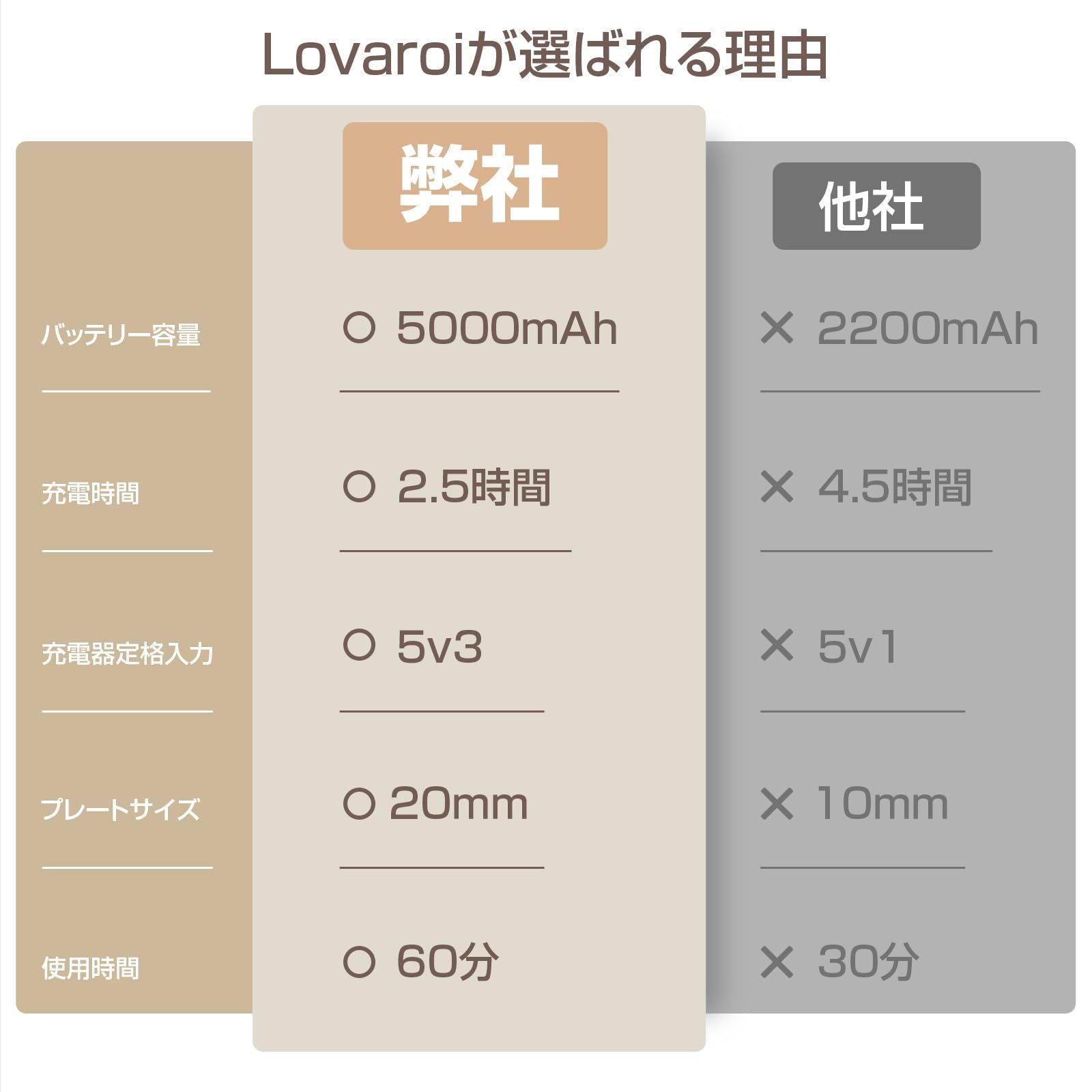 在庫処分】カール&ストレート 3段階温度調整 2way ミニ USB充電式 自動