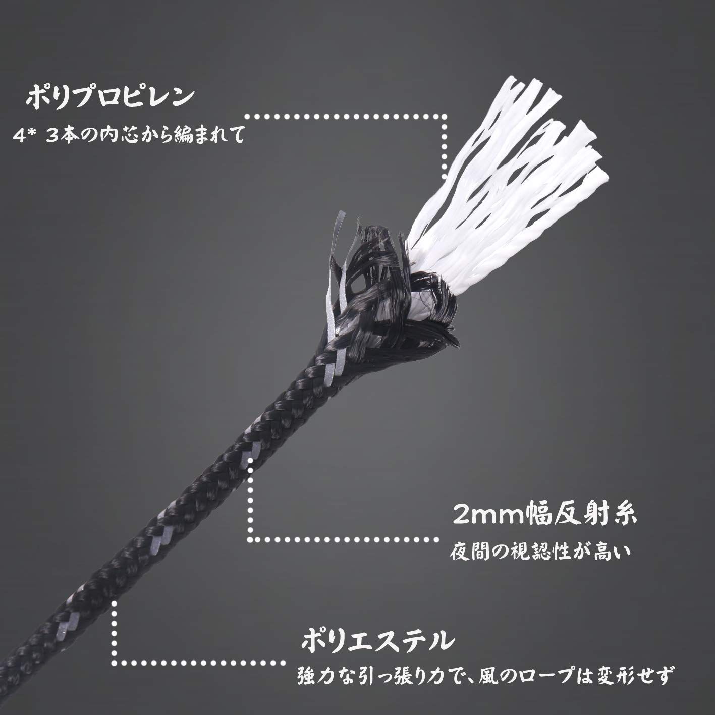 ガイライン