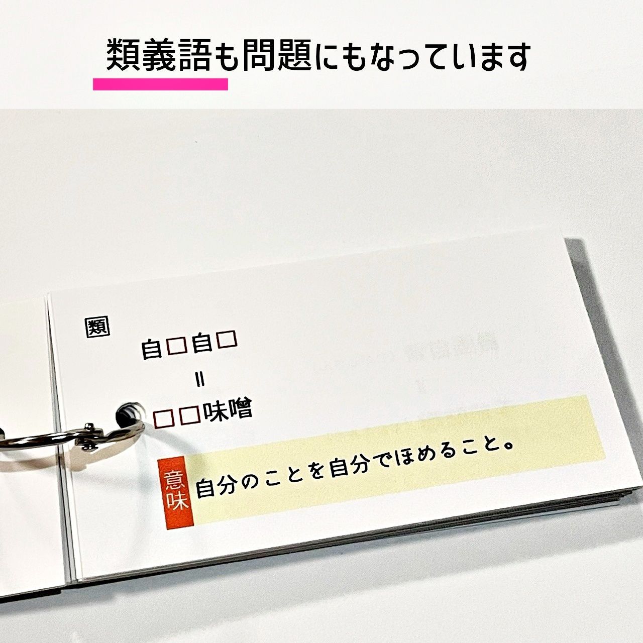 極める国語② 四字熟語 暗記カード 言葉ナビ サピックス 中学