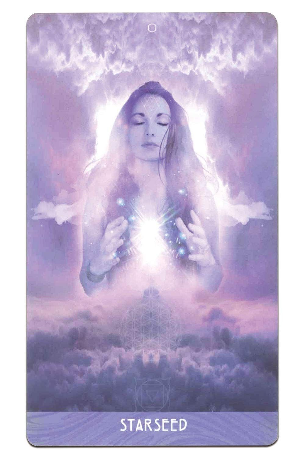 美品【ラルクkenソロ】CD9枚、DVD3枚セット【S.O.A.P.】 Amazon.co.jp