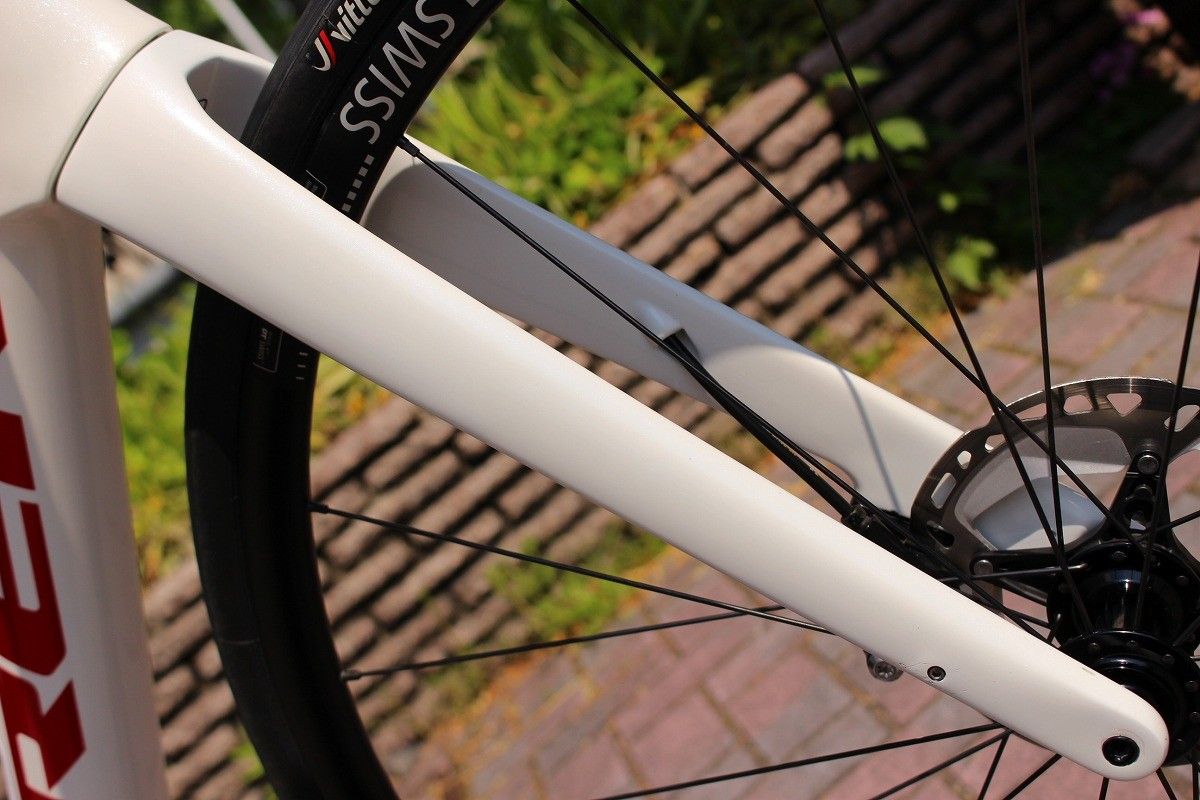 DOMANE