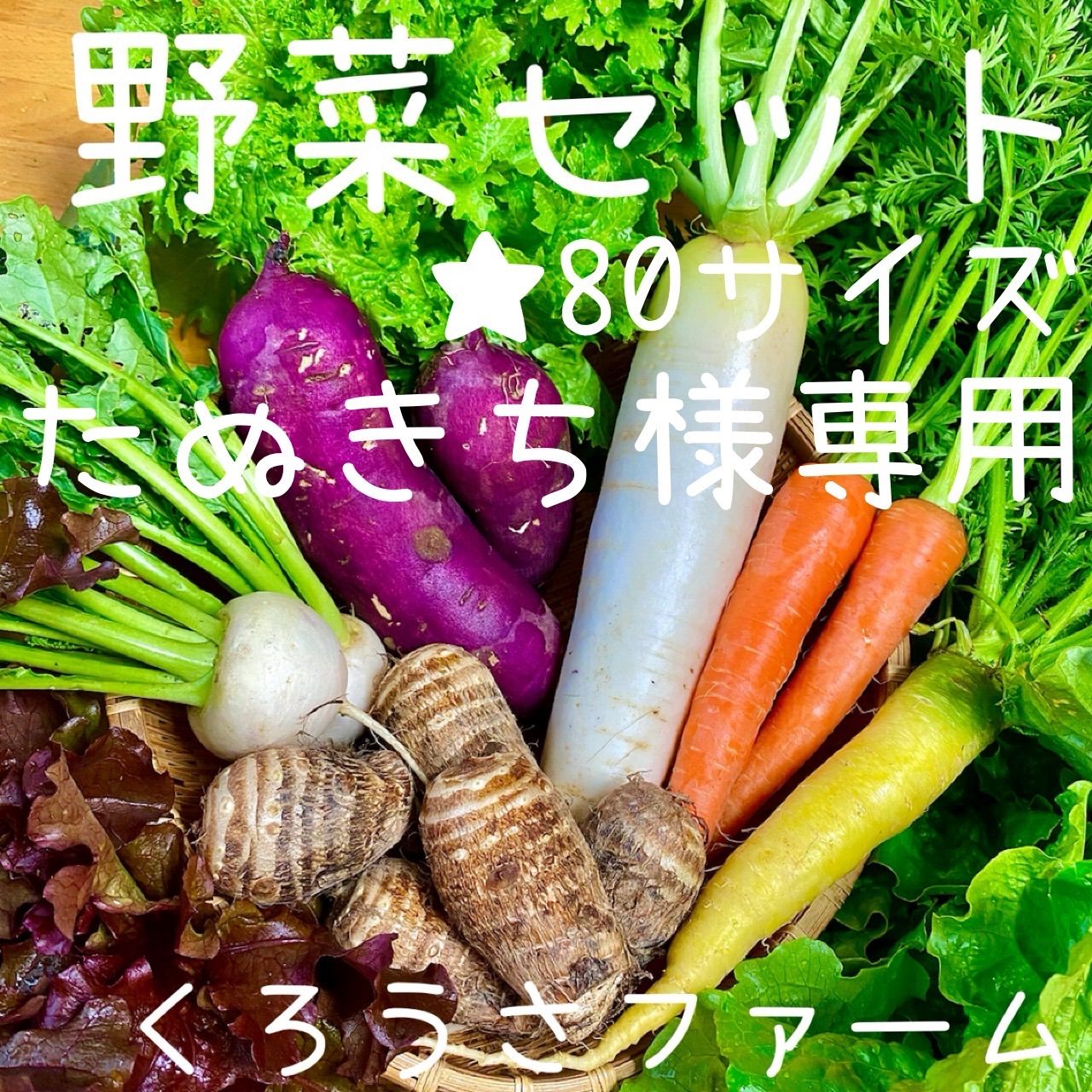 たぬきち様専用 野菜セット 野菜詰め合わせ 80サイズ 愛知県産 - メルカリ