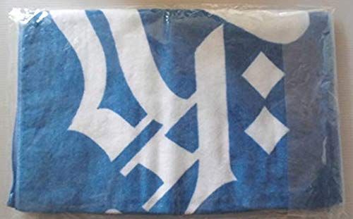 氷室京介 2008年ツアーグッズ11点セット 氷室京介 2008年ツアーグッズ11点セット ライブ記録: 氷室京介 20th