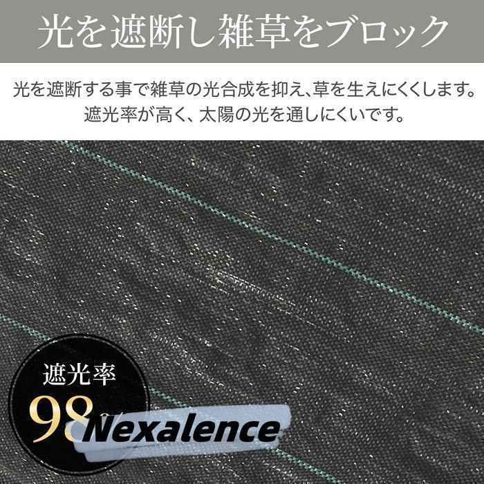 2m×100m