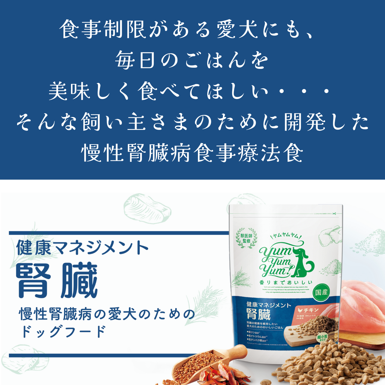 健康マネジメント腎臓サポート 犬用 食事療法食 ちょこっとパック 50g×6 無添加 国産 ヤムヤムヤム yum yum yum！