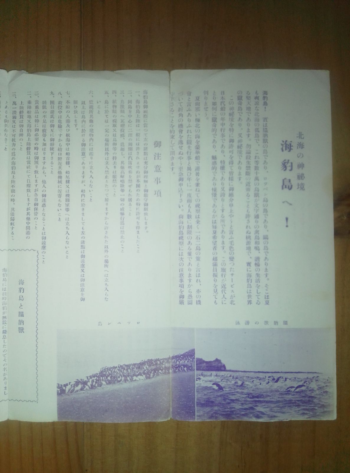 稀品 戦前 パンフレット 樺太 北海の神秘境 海豹島へ 海豹島 北日本汽船会社