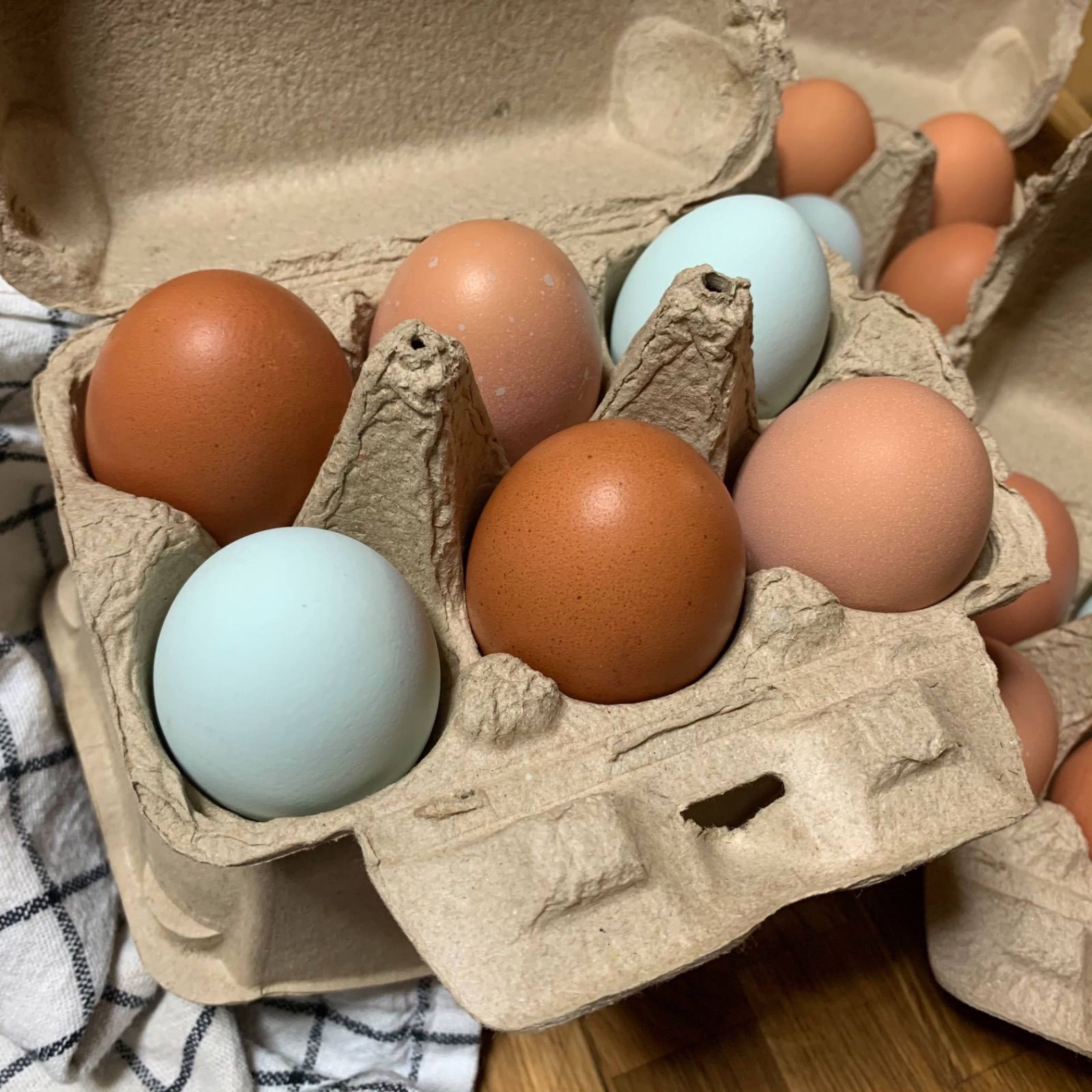 Nomadic Eggs 幸せ遊牧たまご 無洗 48個 - メルカリ 