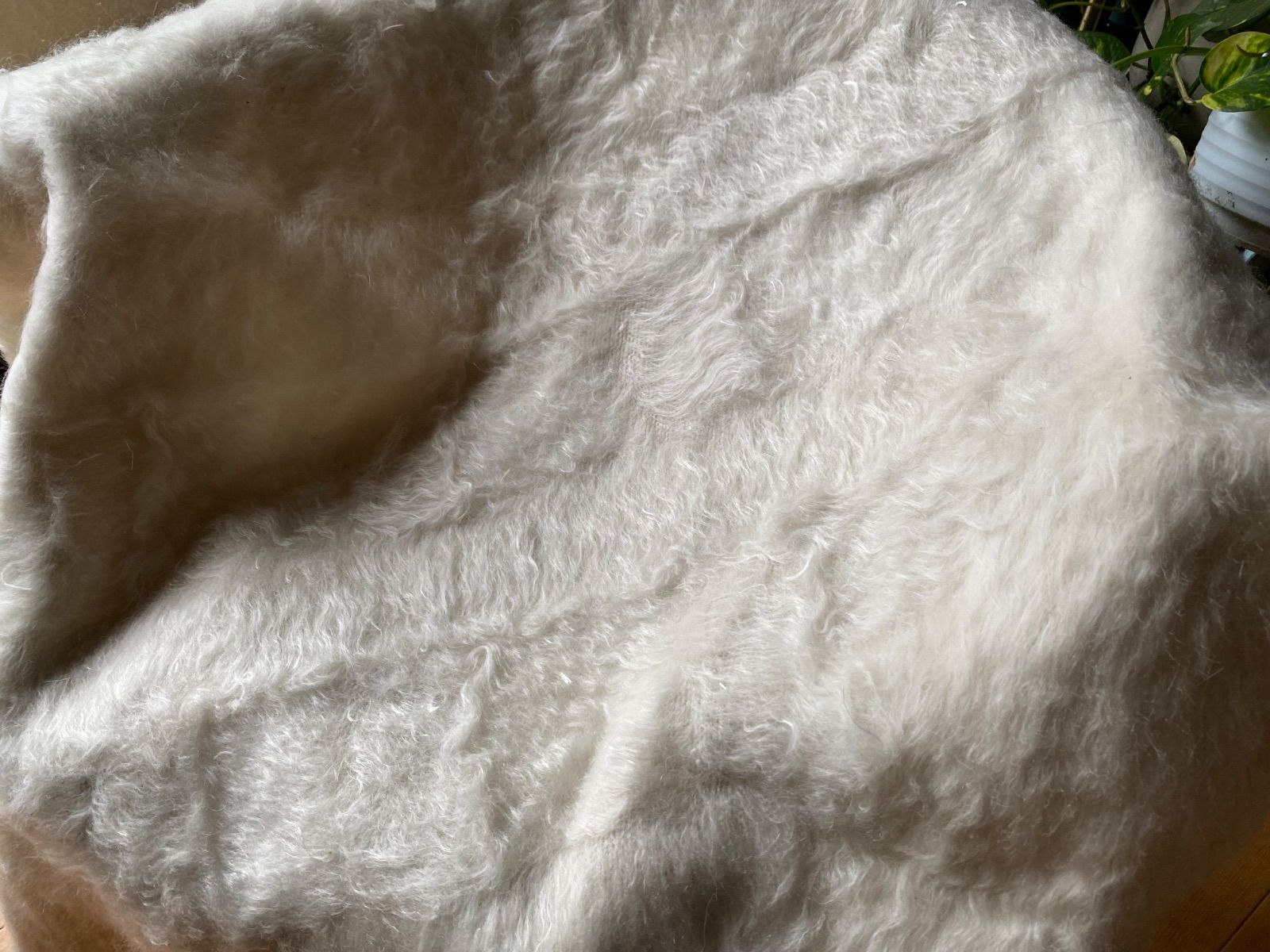 の新しい白ねシイルトバッタニイェ最後の一枚