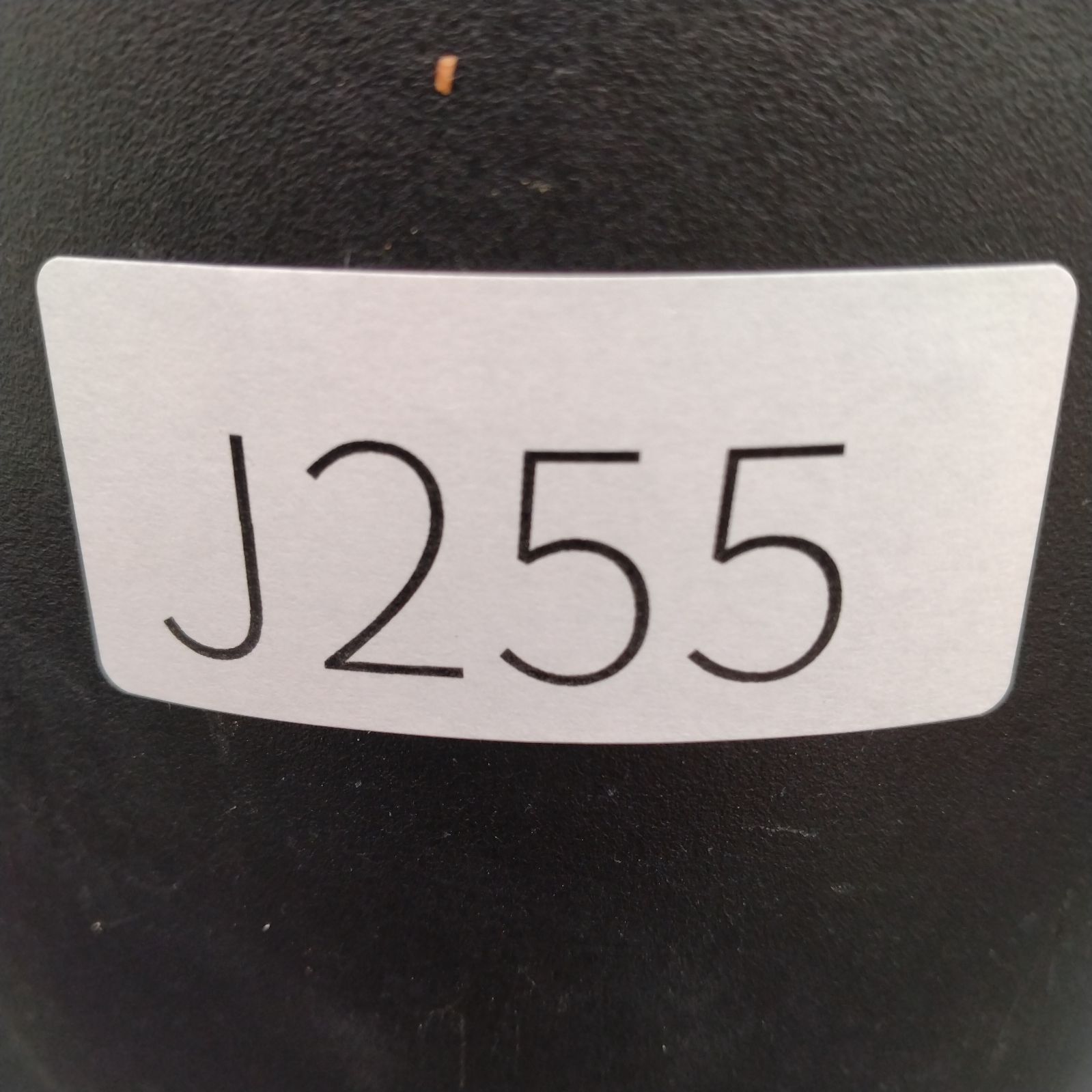 【新鮮】ボンバックス　自家採取種子　20粒　ネコポス発送 J255【自社養生株】プセウド ボンバックス（発根株・鉢植え