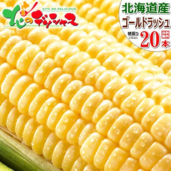 【予約/8月中旬(8月15日頃)～出荷予定】北海道産 とうもろこし ゴールドラッシュ 20本入り(黄色) 朝採り 甘い 生食 トウモロコシ スイートコーン 残暑見舞い ギフト 贈り物 プレゼント 自宅用 家庭用 野菜 北海道 グルメ お取り寄せ