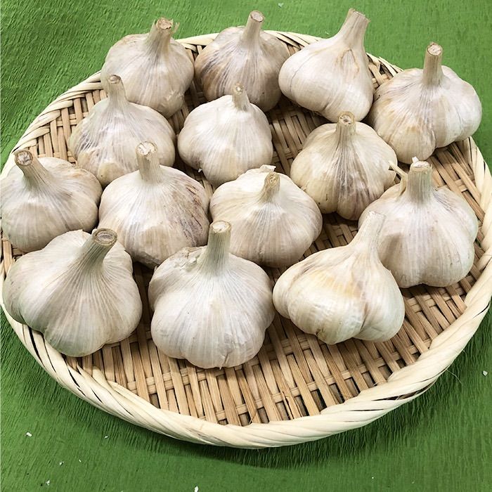上級品】青森県倉石産にんにく福地ホワイト六片種 Lサイズ 3kg