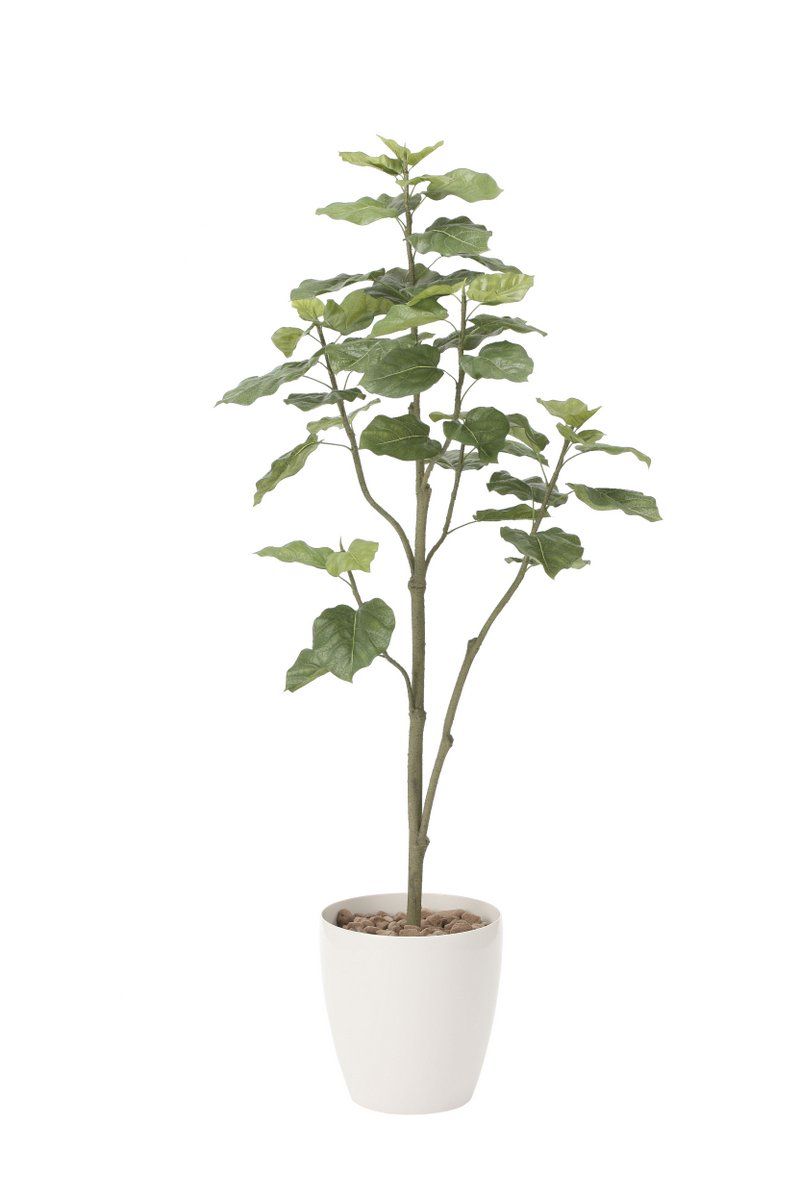光触媒観葉植物 ウンベラータツリー1.8〔フロアタイプ(ハイサイズ)〕/光触媒 観葉植物 ウンベラータ フェイクグリーン 花 胡蝶蘭 開店祝い 開業祝い 誕生祝い 造花 アートフレーム おしゃれ 