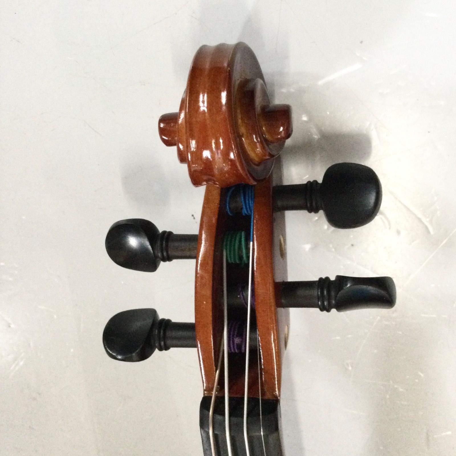 Carlo giordano カルロ ジョルダーノ バイオリン VS-1 1/4 anno