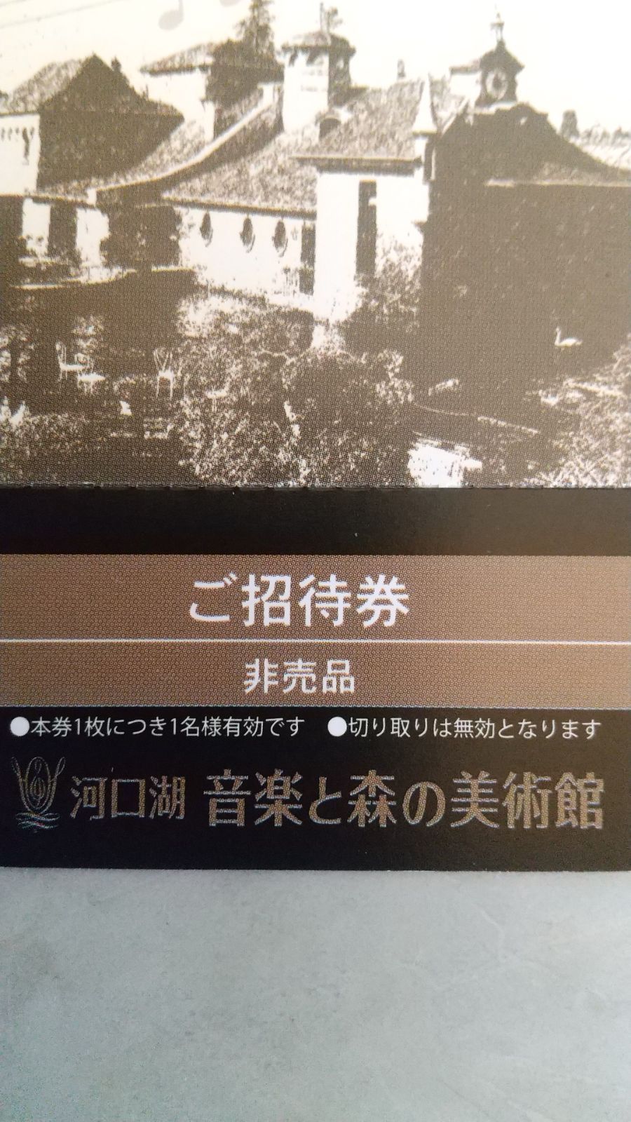 河口湖音楽と森の美術館招待券 - その他