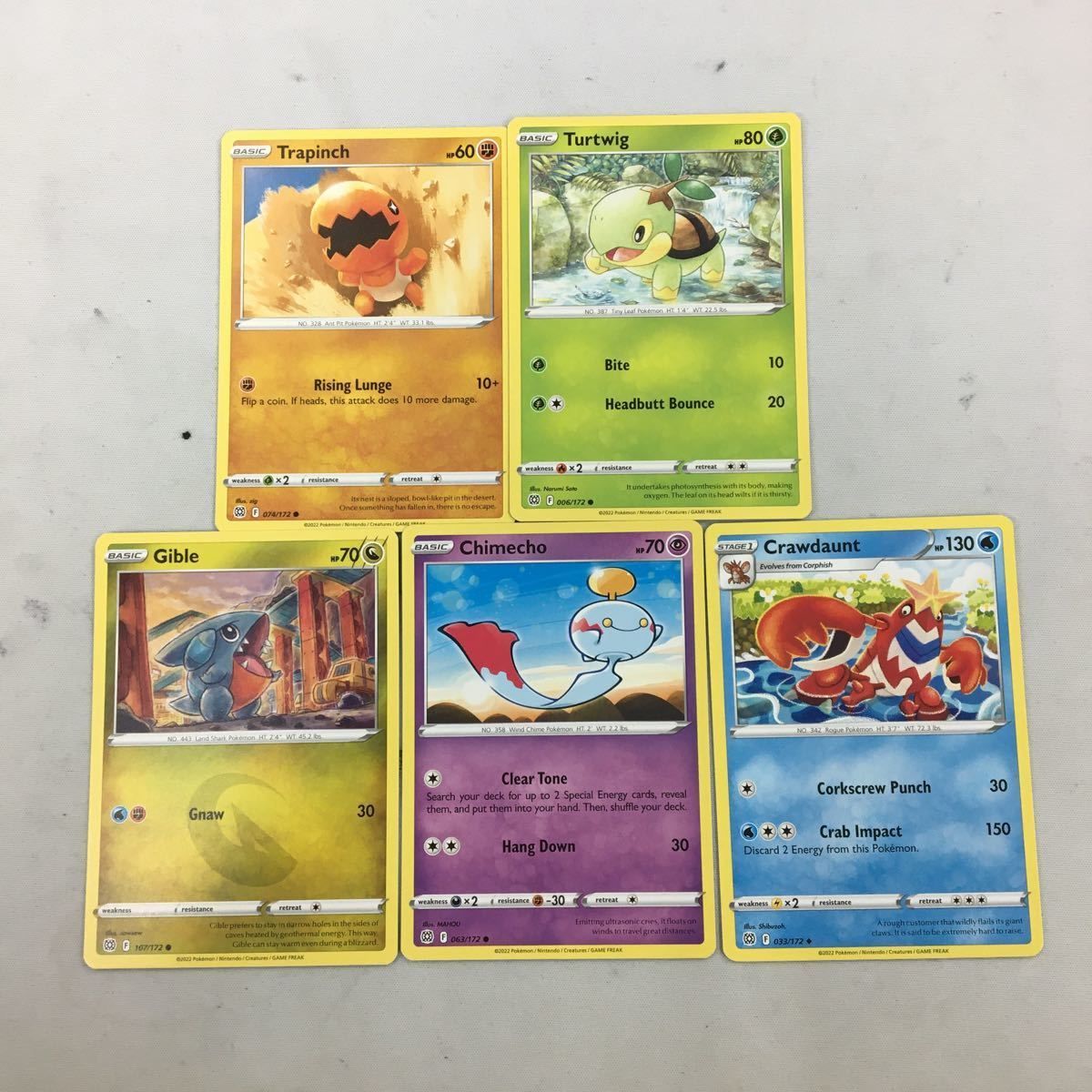 ま13 ポケモンカード 旧裏面 海外 英語版 5枚ナックラー ナエトル