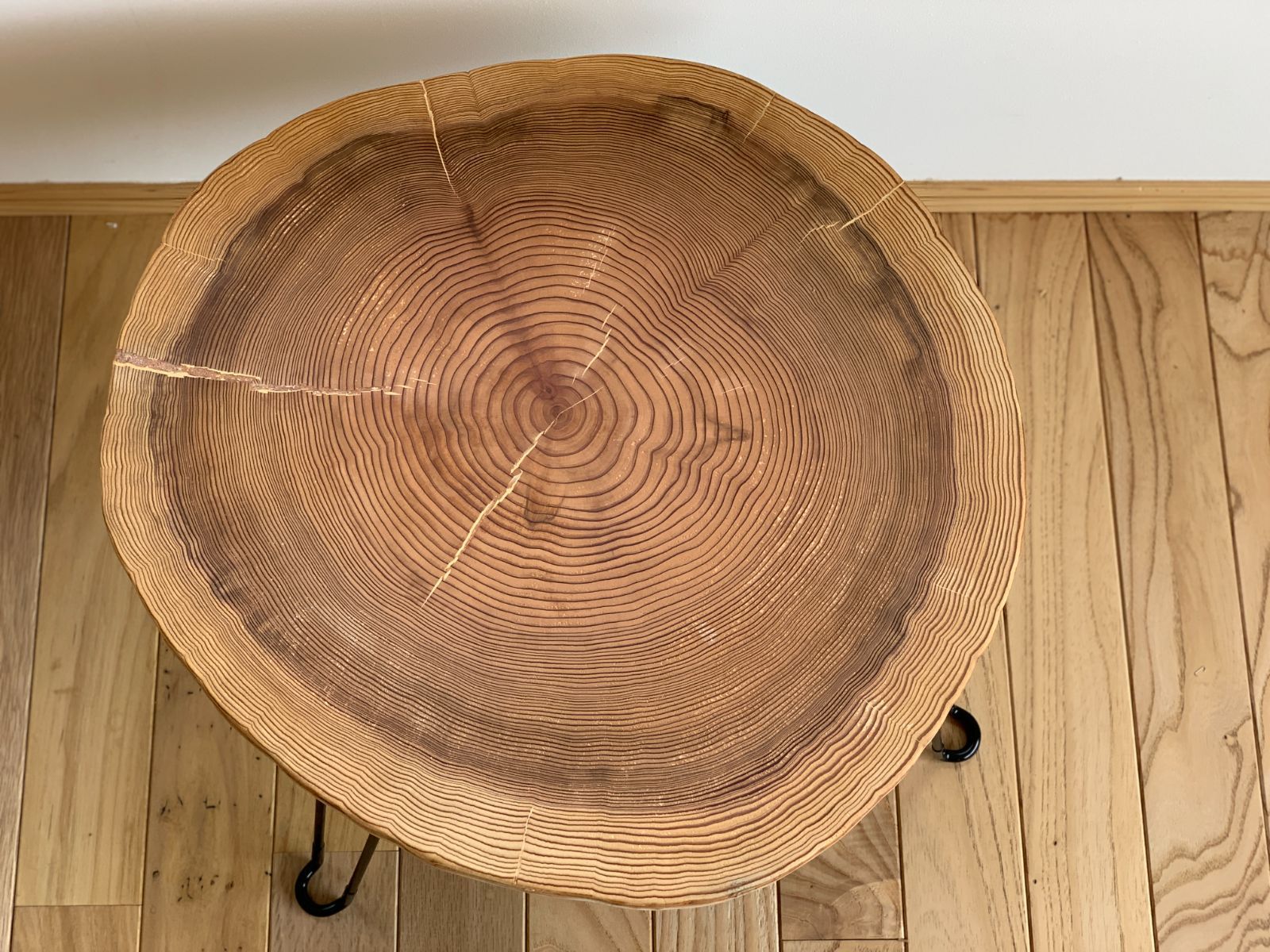 杉年輪輪切り 折り畳みテーブル ちゃぶ台 ローテーブル 丸太 [T023