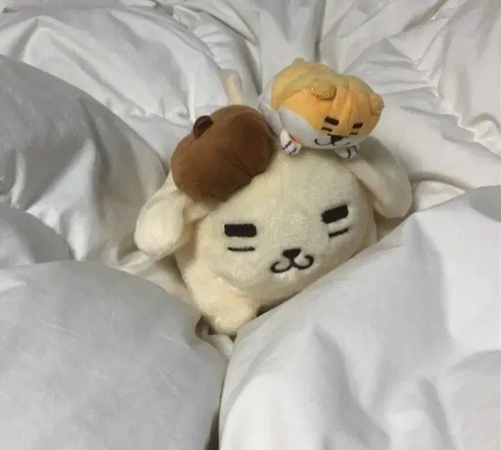 モンスイユ ひぐまくん ぬいぐるみ SS タグ付は希少‼️くま モンスイユ ひぐまくん ぬいぐるみ SS タグ付は希少‼️くま