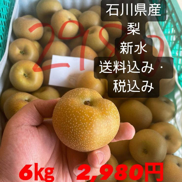 のサムネイル