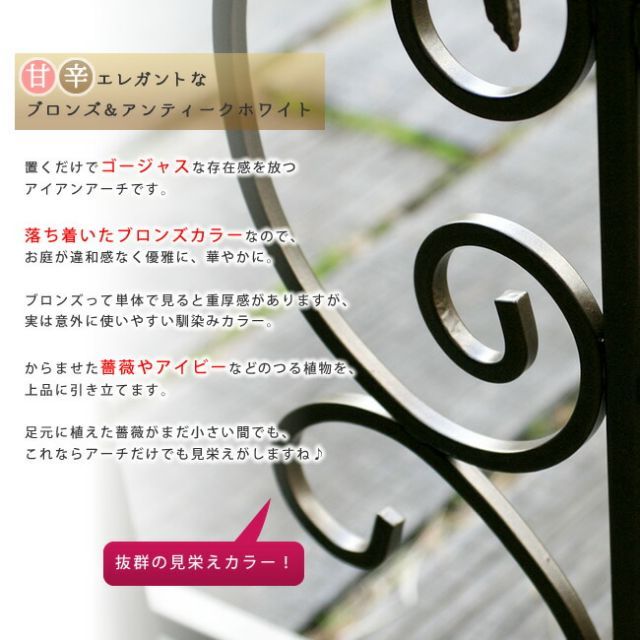 ガーデンアーチ アイアンアーチ