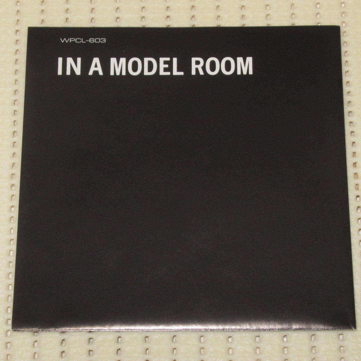 A MODEL P-MODEL ROOM IN イン・ア・モデル・ルーム - Model Room In