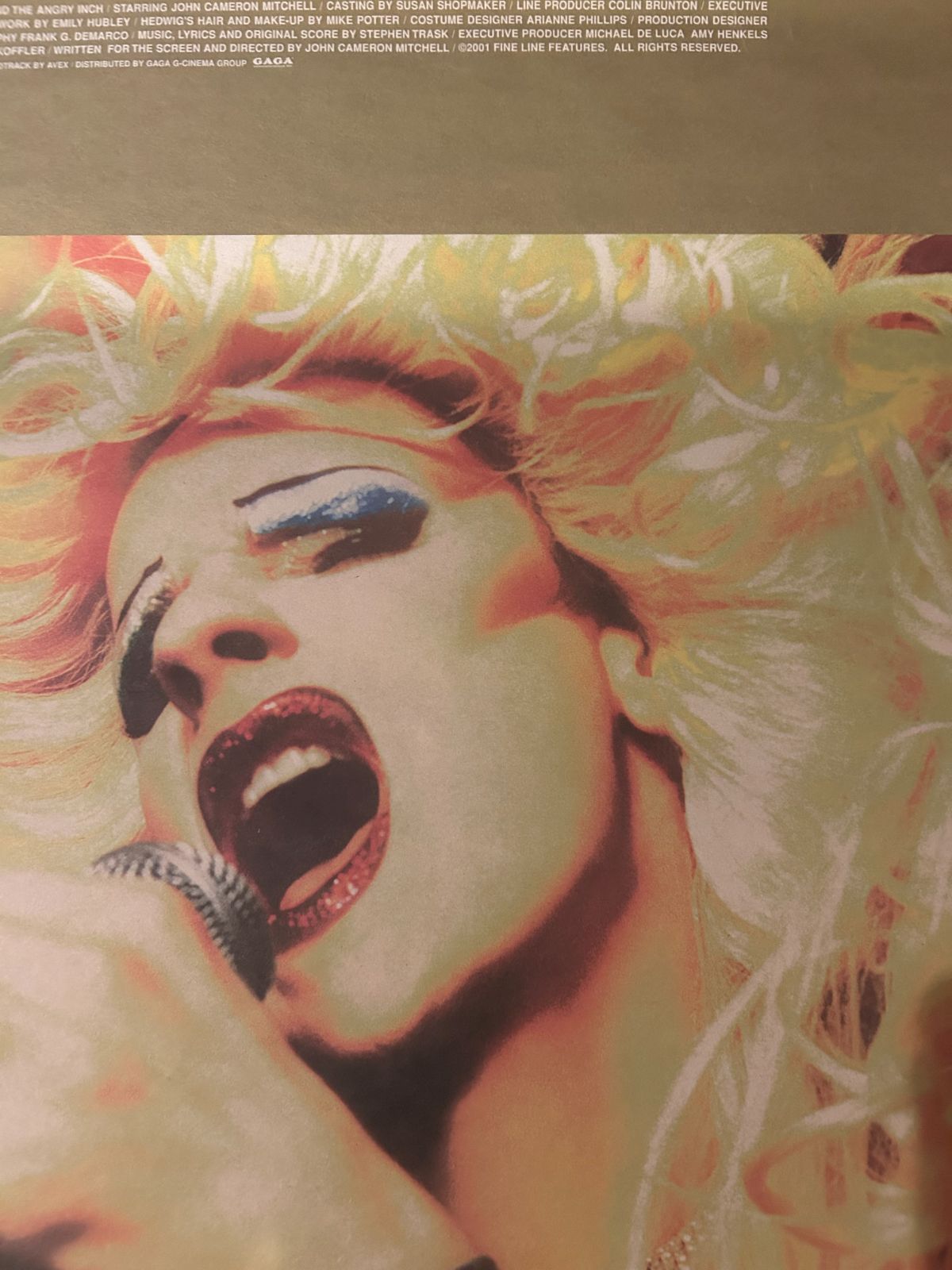 ヘドウィグ・アンド・アングリーインチ Hedwig and the Angry