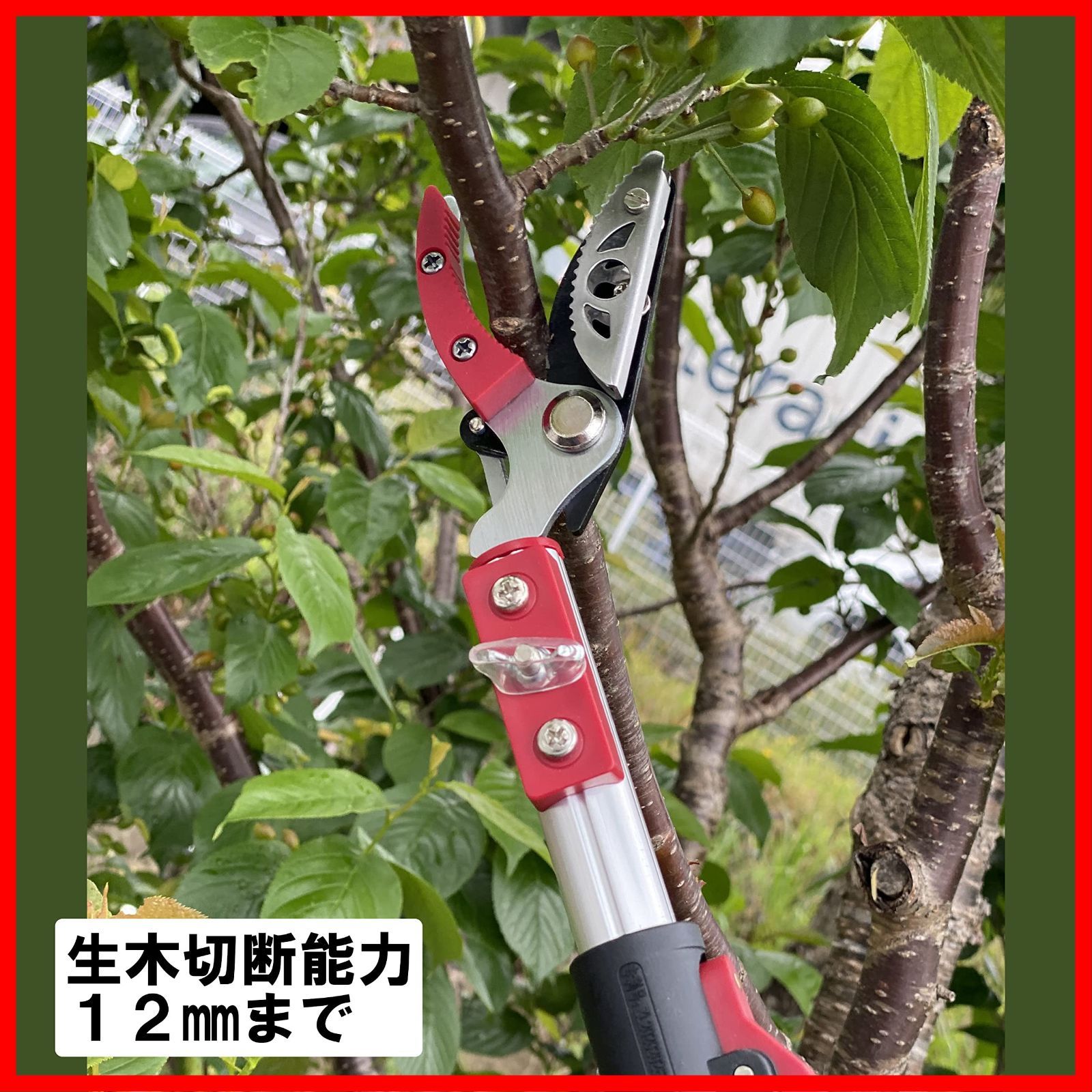 高枝切りバサミ園芸3点セット3段伸縮式高枝切鋏＆長刃刈込鋏＆剪定鋏大 高高枝切りバサミ 軽量 伸縮 高枝切鋏 枝きりばさみ 剪定ばさみ 10％引きレディース園芸2点セット 3段伸縮式高枝切鋏 剪定鋏 中