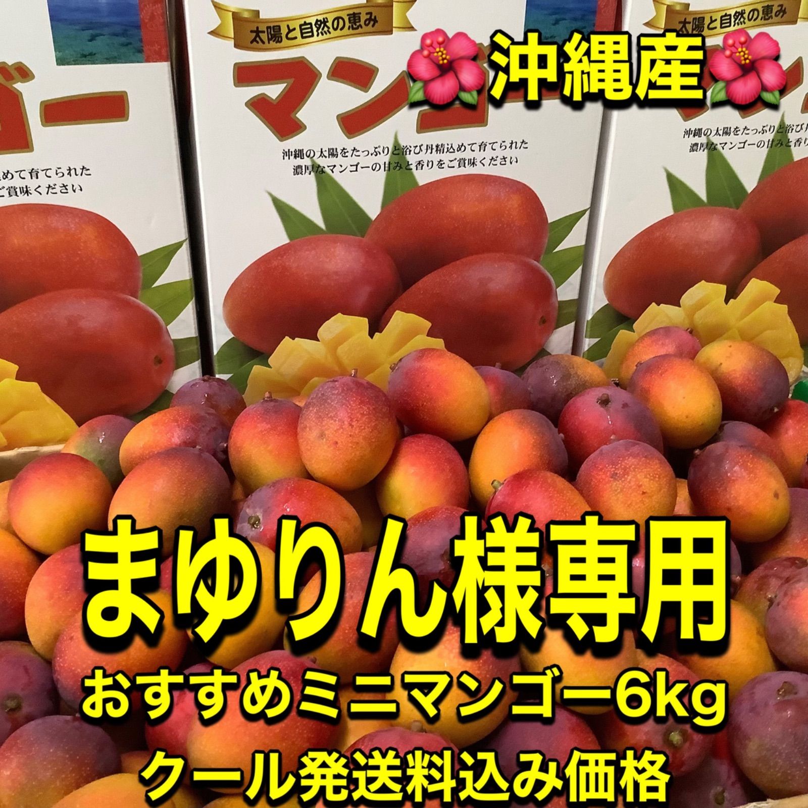 沖縄産☆ミニマンゴー 約6kg クール便発送 まゆりん様/沖縄産☆おすすめミニマンゴー(6kg)クール発送