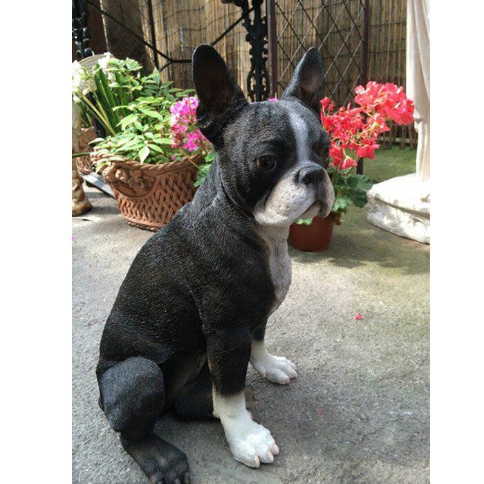 ミニチュア ボストンテリア（Boston Terrier） 犬の置物・オブジェ