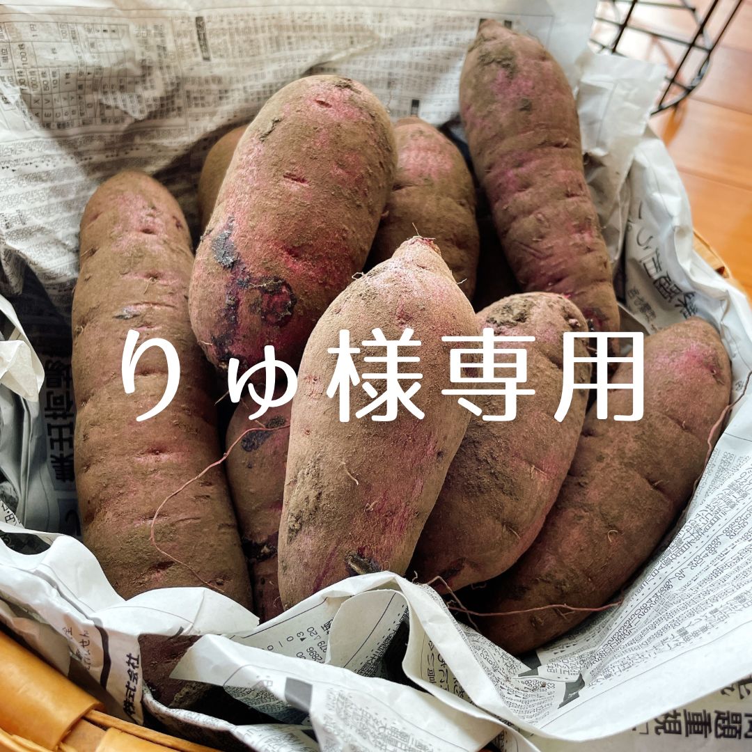 りゅ様専用ページ （ryu-no-hige様専用ページ - すずの小部屋
