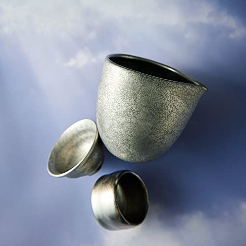 服部天龍 銀彩 冷酒器 SL 4 410