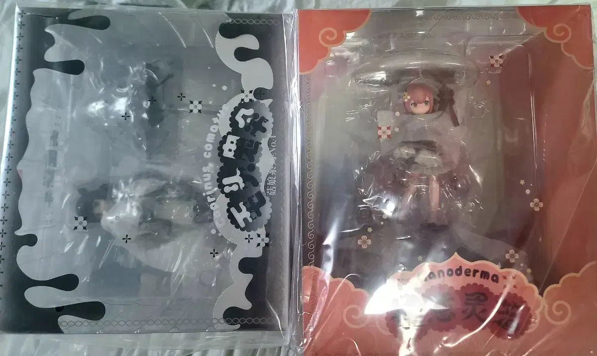 マッシュルーム ガールズ ヨンジ マッシュルーム