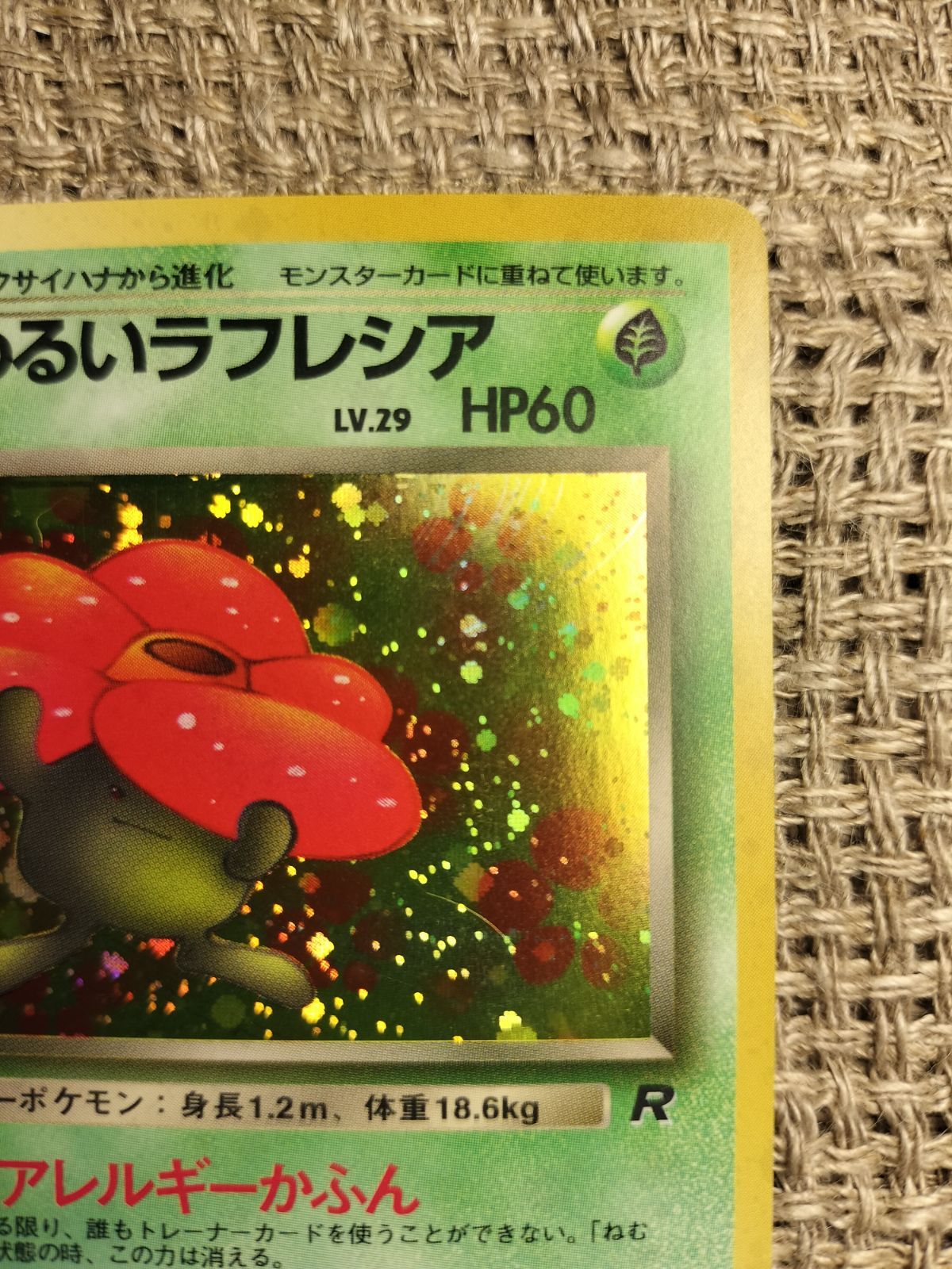 ラフレシア 旧裏　極上品 ラフレシア 旧裏 極上品 - メルカリ
