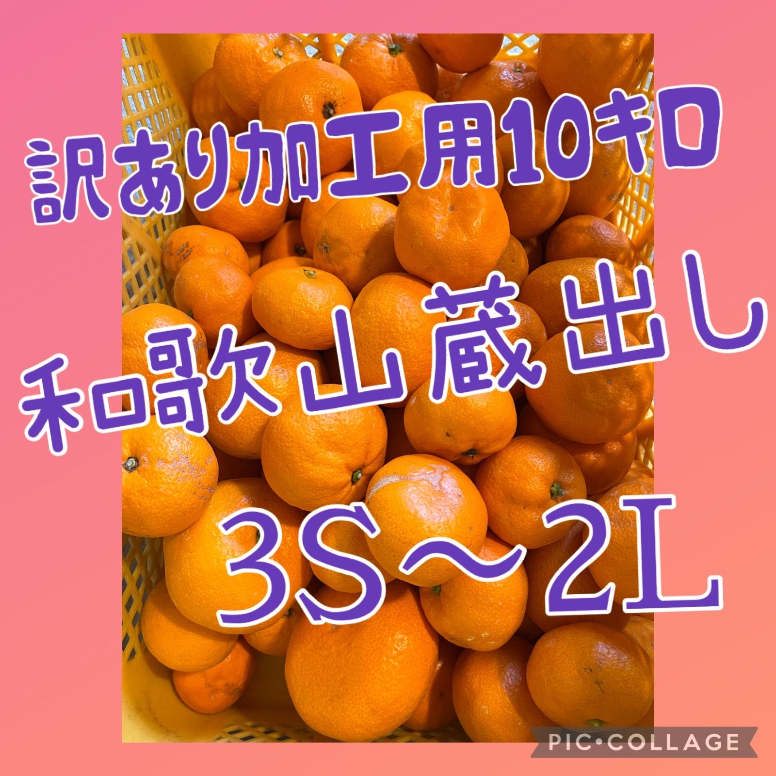 訳あり加工用‼️和歌山蔵出しみかん‼️ - メルカリ