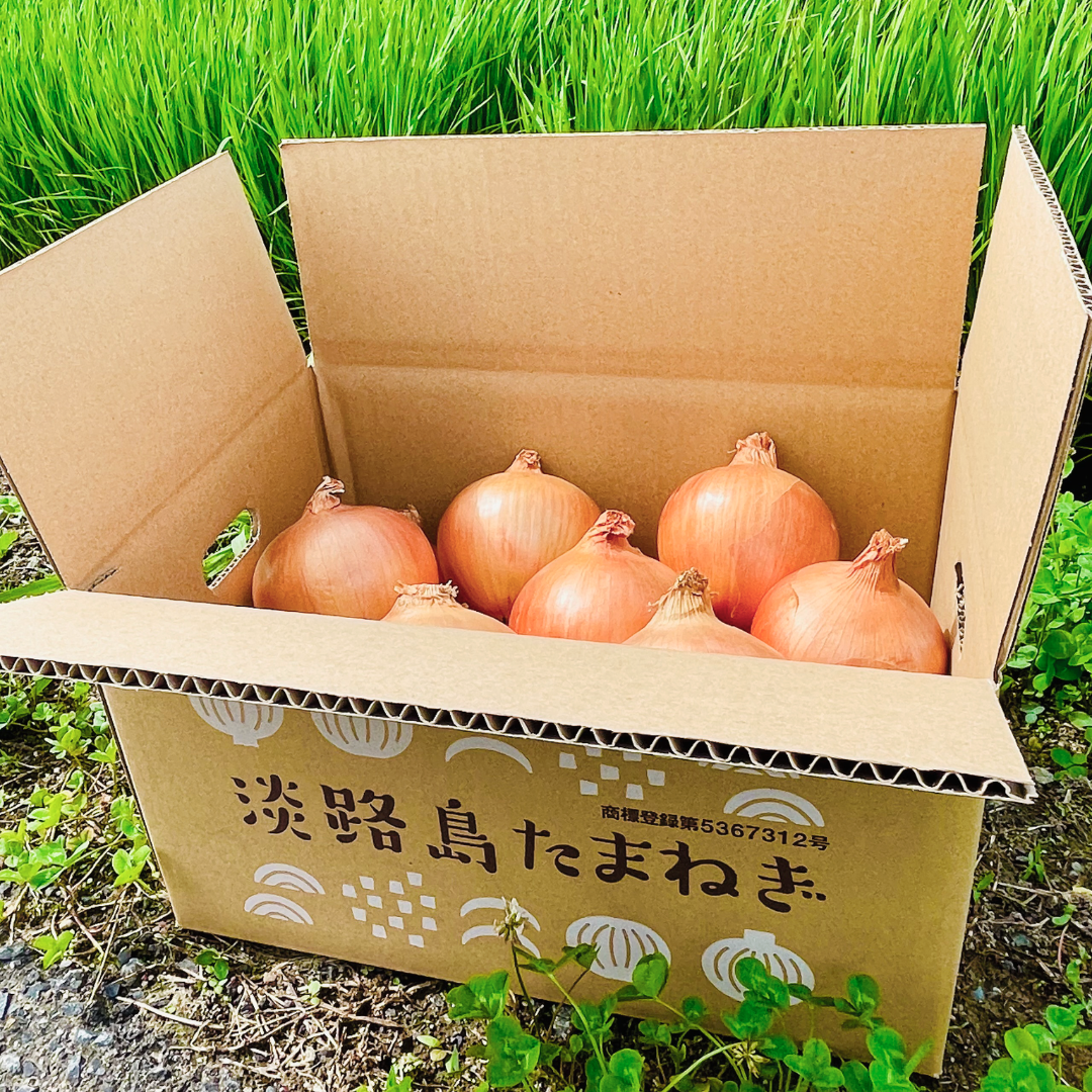 《玉ねぎの王様ターザン》淡路島玉ねぎ “いくたま” Lサイズ 5kg【兵庫県淡路島産】