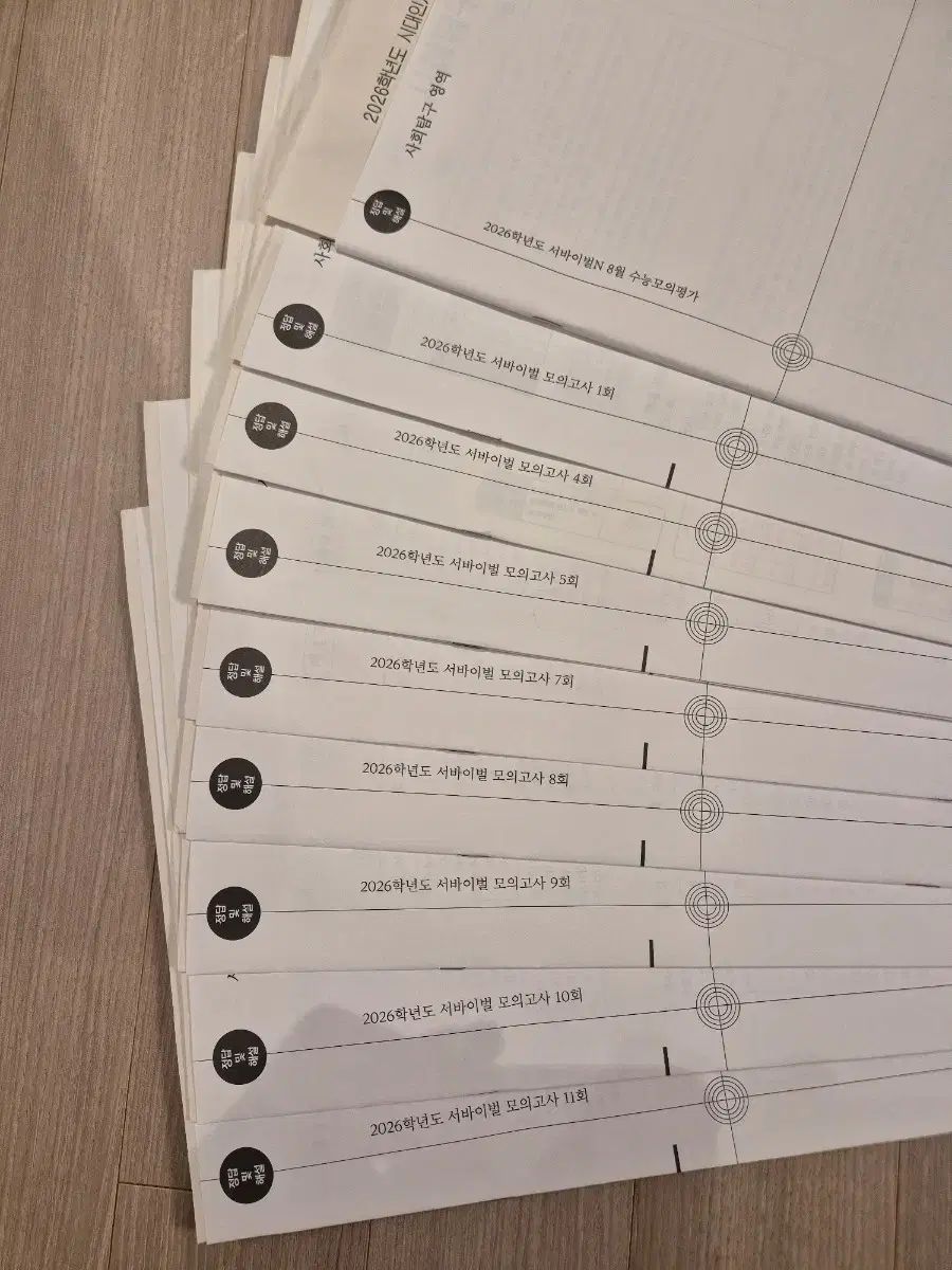 2026 生活と倫理 模擬試験 時代人材 タイプのみ サバイバル 実戦模擬試験 9 灰