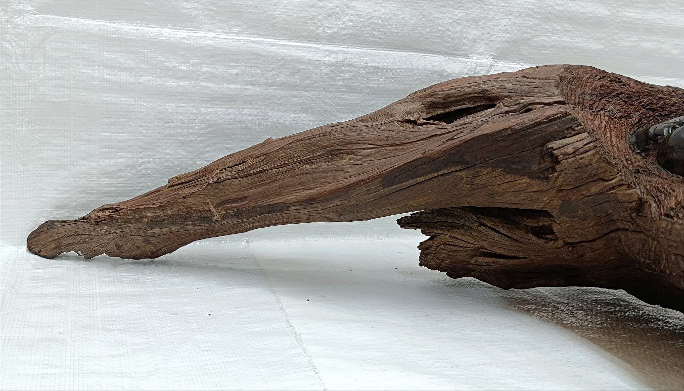 希少 ケニア黒檀無垢 手彫り民族顔 天然木オブジェ 流木 アクアリウム