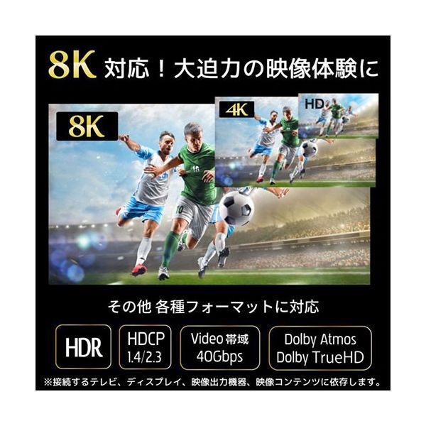 ラトックシステム 8K対応