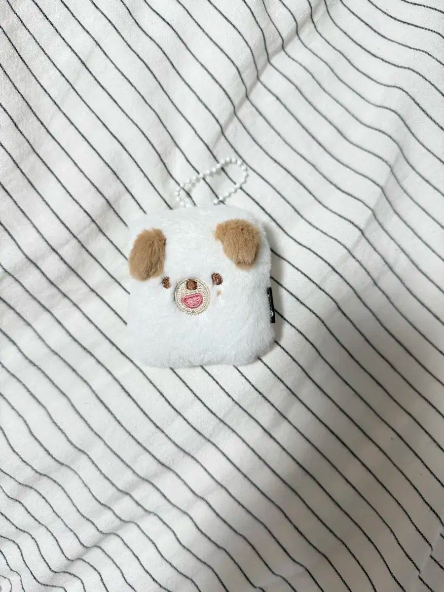 【おまめ。】お取引専用ページ DAY6(デイシックス) ドウン(DOWOON) プティ・メルツ お金 証明写真