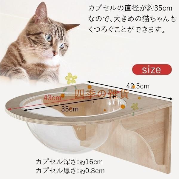 キャットカプセル