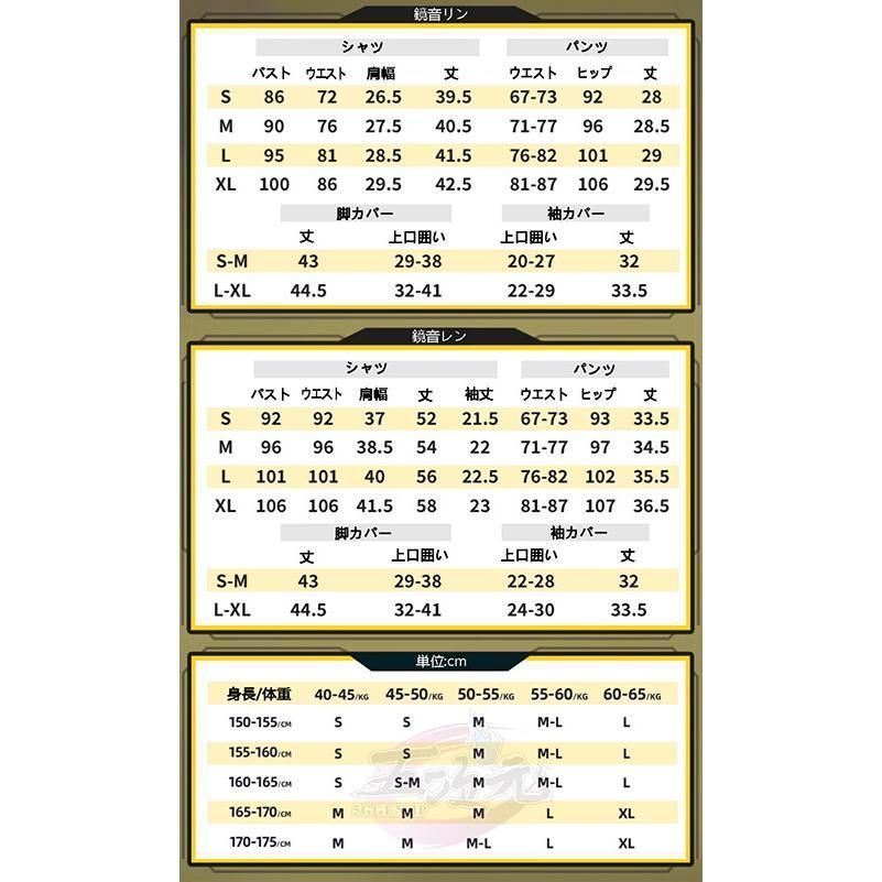 中国公式許可あり 通常Ver