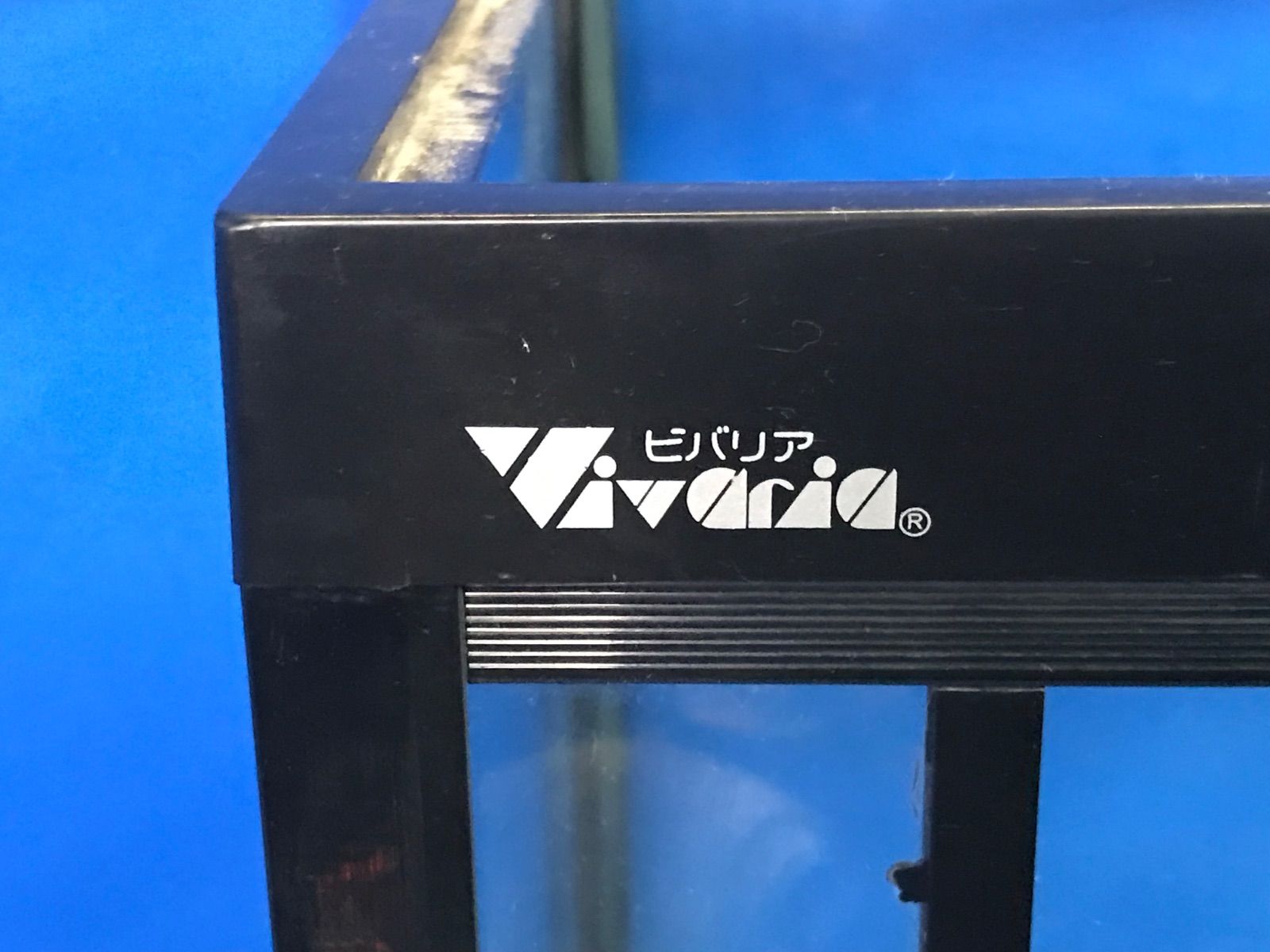 爬虫類ガラスケース